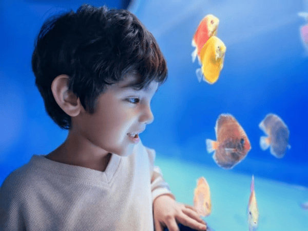 華為Mate X6微博之夜展現(xiàn)非凡影像,追星新神器強得飛起!