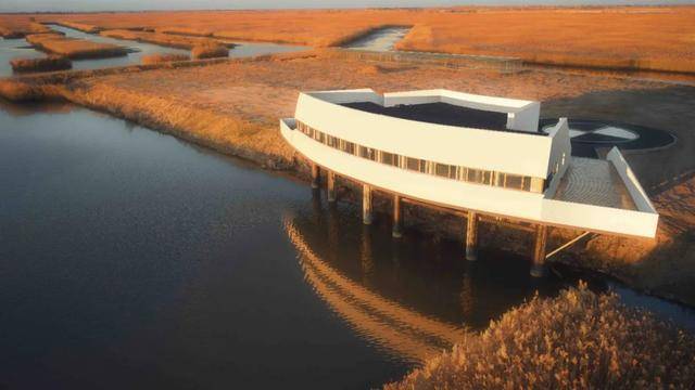 2024年是寶馬在中國開啟社會責(zé)任之旅第20年,寶馬20年的中國履責(zé)答卷