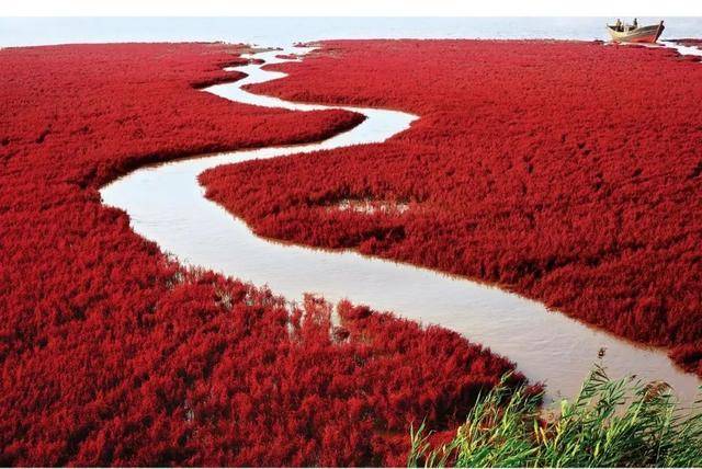 2024年是寶馬在中國開啟社會責(zé)任之旅第20年,寶馬20年的中國履責(zé)答卷