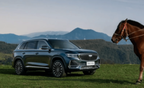 買車需謹慎,SUV銷量投訴量前十名出爐,Model Y排第一