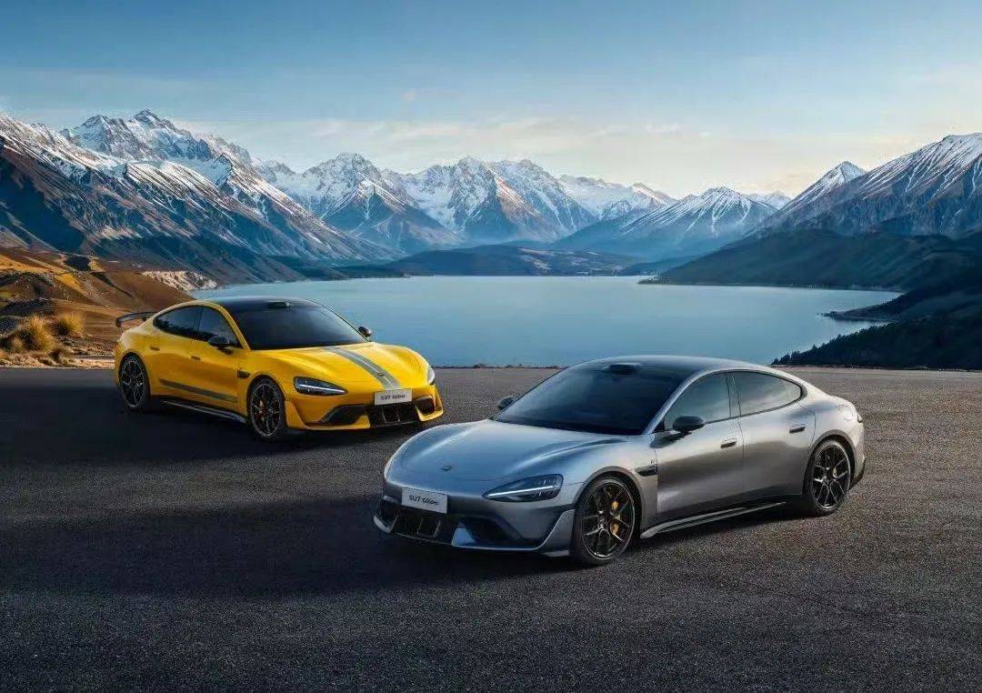 9家民營車企2024財報橫評:誰是中國車企經營“最強王者”?