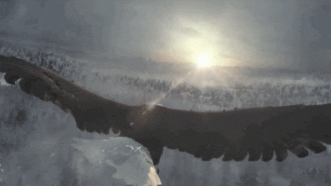 時隔多年,無人機市場終于開始好玩起來了