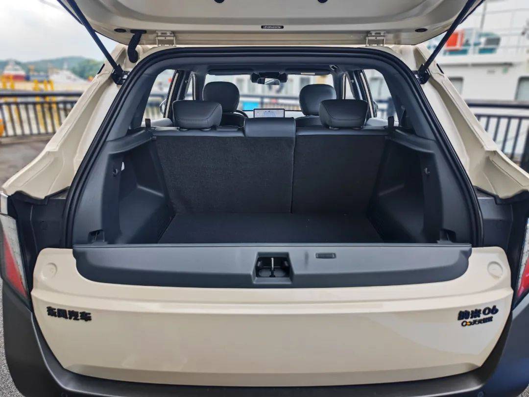 天地門內有乾坤——東風納米06