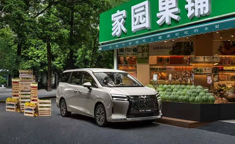 三種動力系統(tǒng)可選,配備側(cè)滑門,五菱星光730正式亮相